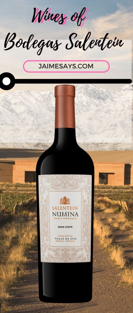 Explore the Wines of Argentina with Bodegas Salentein