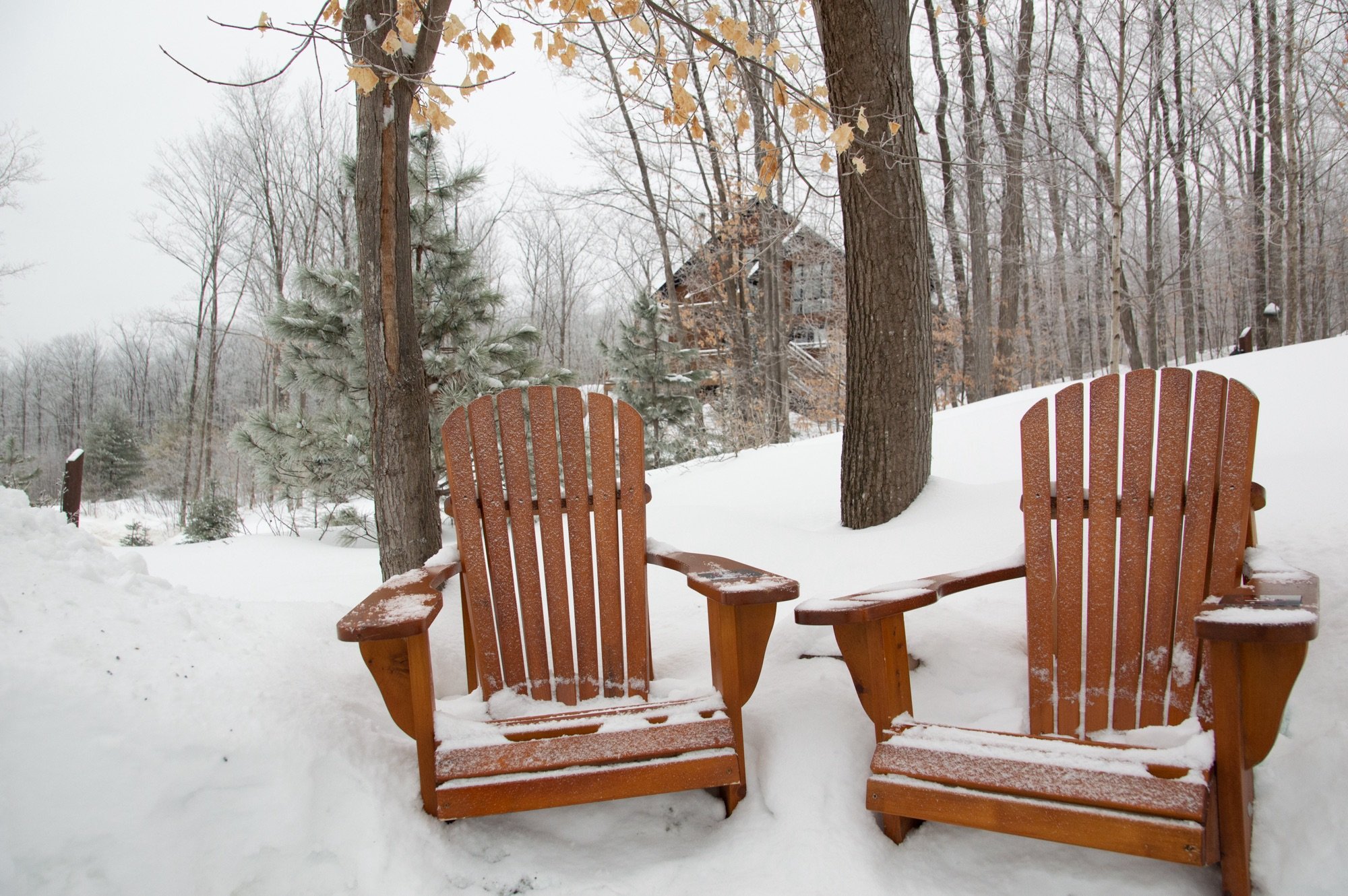 Winter Festivals in North America
