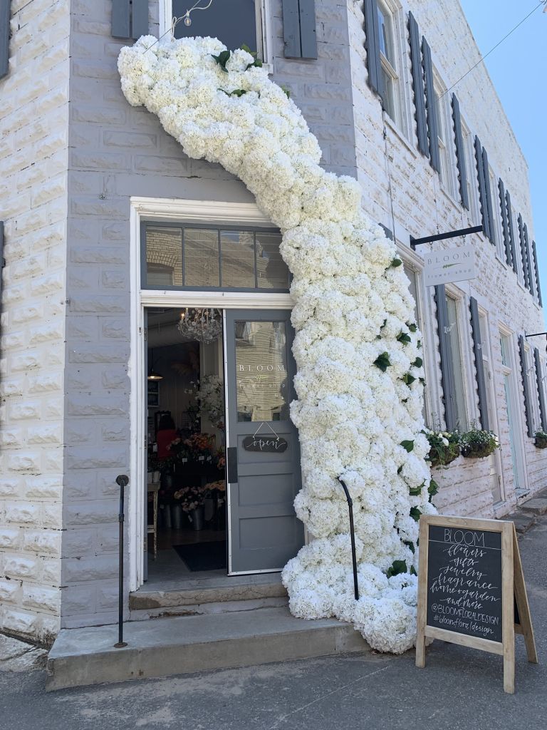 Flower arch opposite from Cantina Tacos.