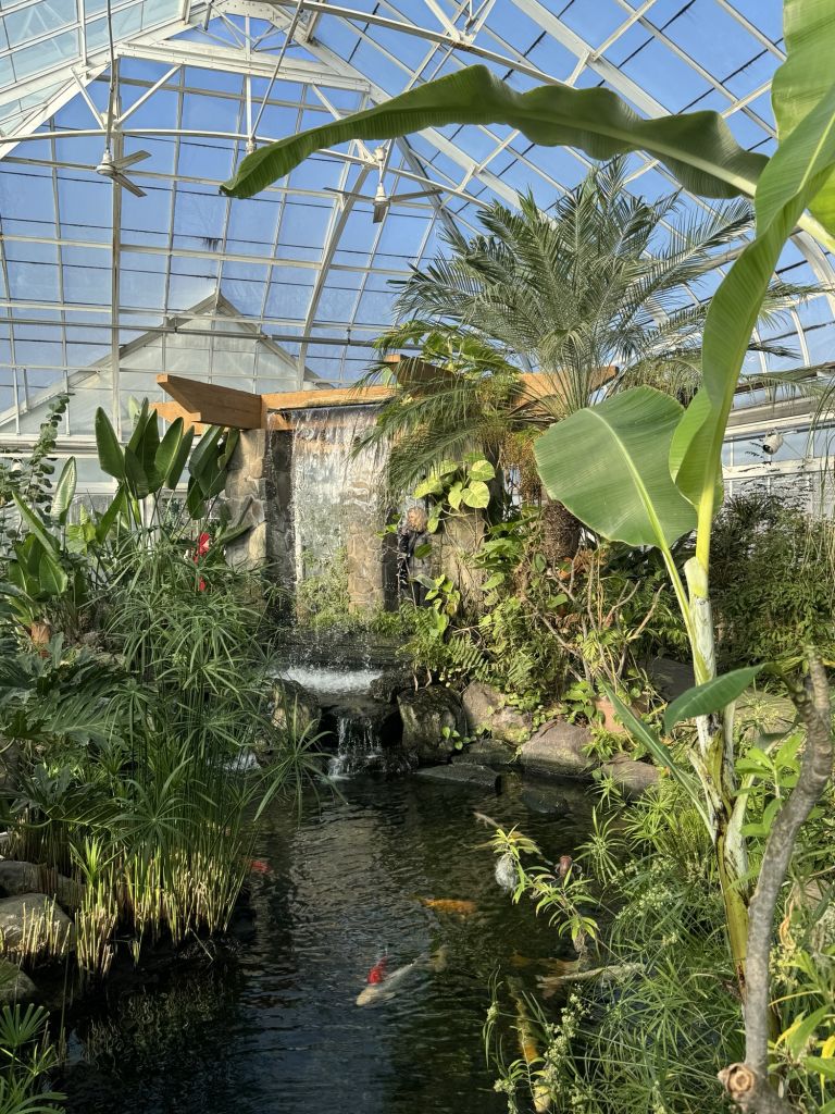 Birdhaven Green House for indoor activities in winter