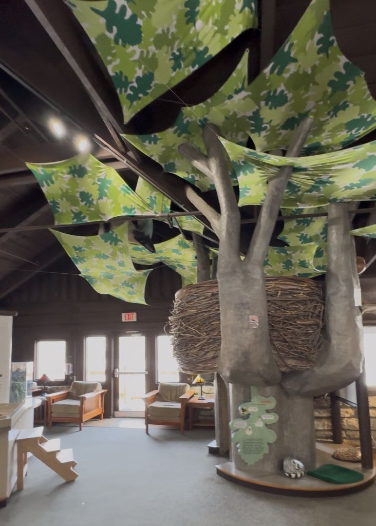 Fullersburg Nature Center