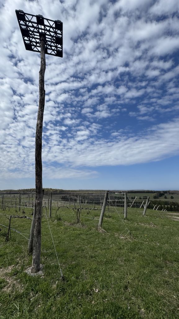 Hilltops of Leelanau Peninsula