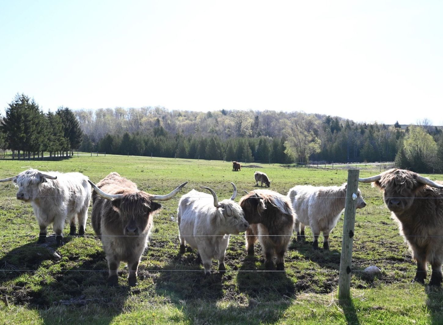 Things to do in Leelanau County Michigan