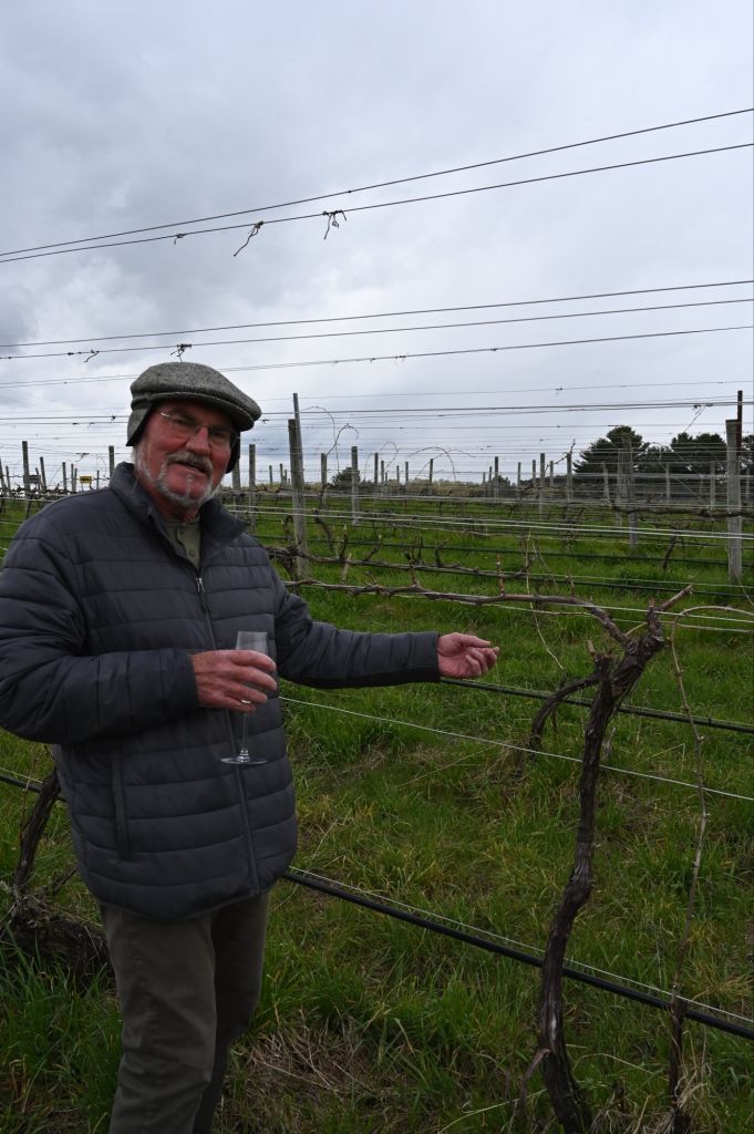 Jimmy in the vineyards at Bel Lago.